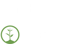 ONEFLEX